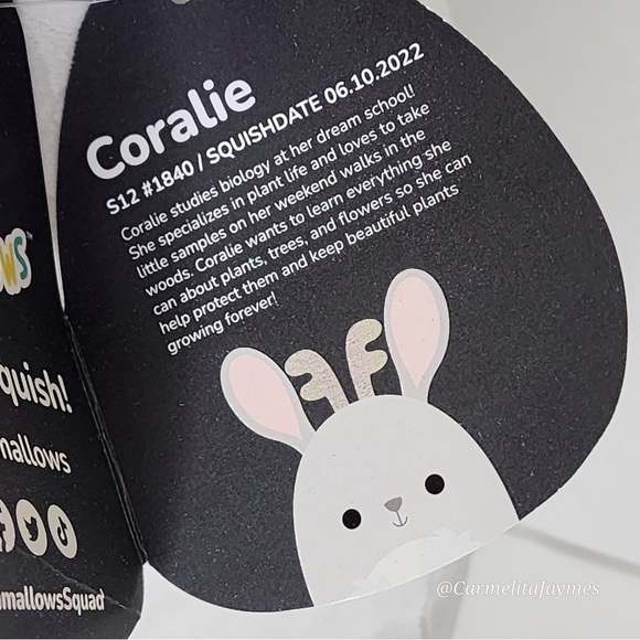 🖤 CORALIE 🐰 Select Series Jack Rabbit Original Squishmallow by Kelly Toy NWT - Picture 3 of 7